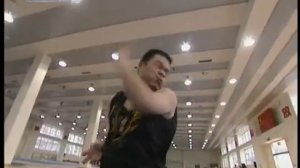 Интересно.  Южно-Китайские стили ушу  ( снято китайским телевидением) Часть  2.