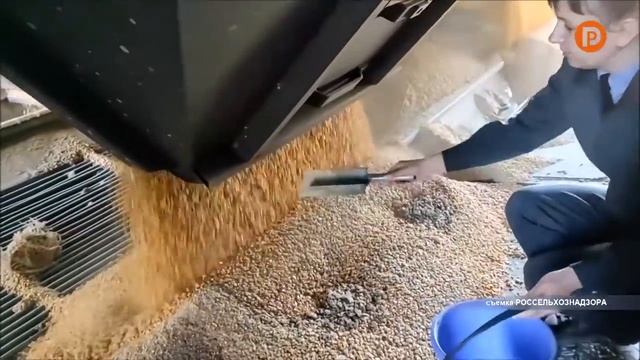 ОТРК Русь Контроль зерна 24 06 2021 смотреть онлайн