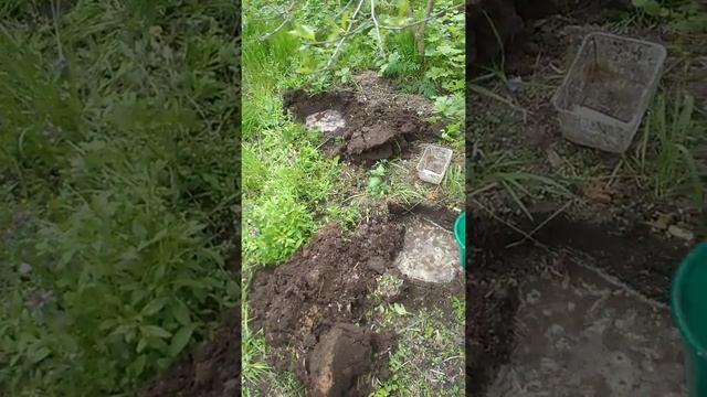 Мы с Кирой сажаем пионы. смотреть онлайн