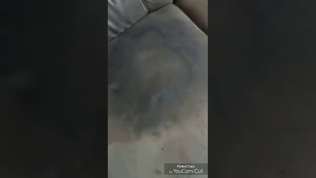 ЯК ПОЧИСТИТИ ДИВАН. ФАДА ПОВЕРХНЯ. ВІДГУК смотреть онлайн