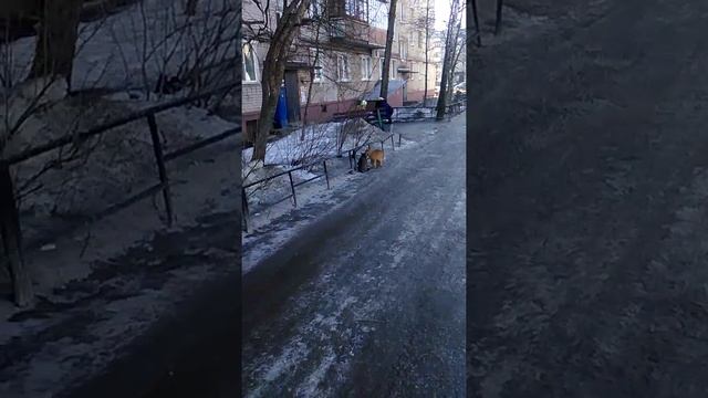 Базар реальных пацанов. смотреть онлайн