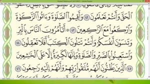 Шейх Айман Сувейд сура Бакара стр 7