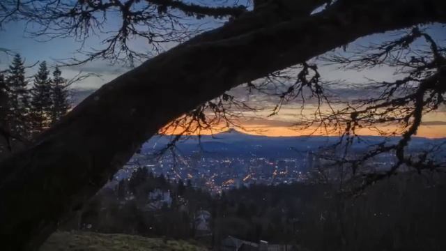 SEO Portland | Portland SEO Services - #1 SEO Firn in Portland смотреть онлайн