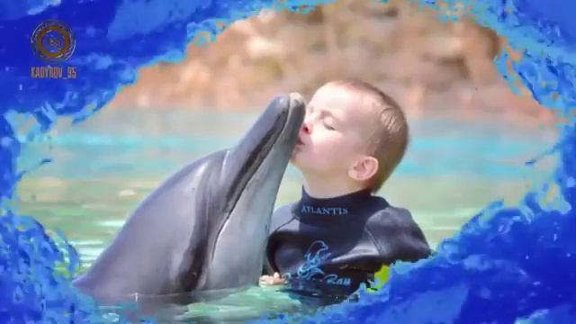 С РАННЕГО АОЗРАСТА НУЖНО ГОТОВИТЬ ЧЕЧЕНСКИХ ДЕТЕЙ К ТОП МЕНЕНДЖМЕНТУ РАЗВИТИЯ ЧЕЧЕНСКОГО БИЗНЕСА СН смотреть онлайн