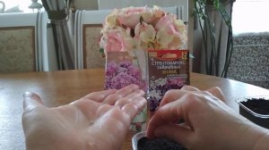 Стрептокарпус и Пентас - посев мелкопыльных семян комнатных растений