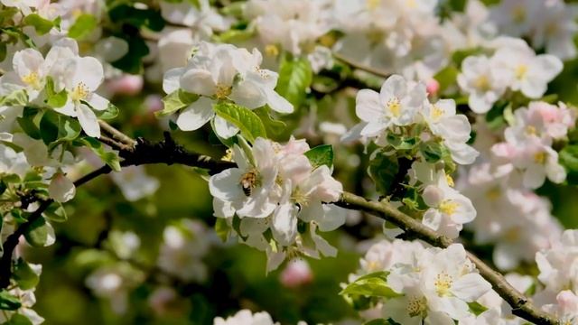 ЗАКОНЫ СУДЬБЫ/ Следуйте им и получите от жизни лучшее смотреть онлайн