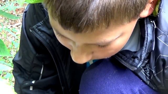 За грибами.Грибы Сибири. Сбор маслят. For mushrooms. Siberia. Collecting oil. смотреть онлайн