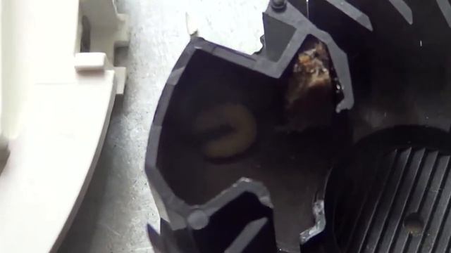 Ложные сработки дымового датчика из-за насекомых смотреть онлайн