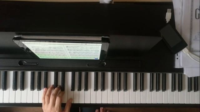 В. Косенко Скерцино