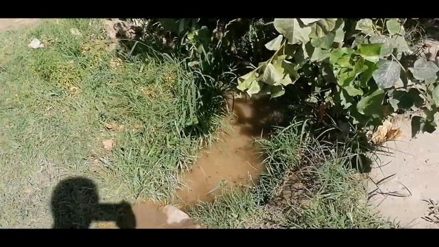 Аномальная Жара в Узбекистане температура в тени.Ob-havo harorati Uzbekistonda Soyadagi va Suvdagi. смотреть онлайн