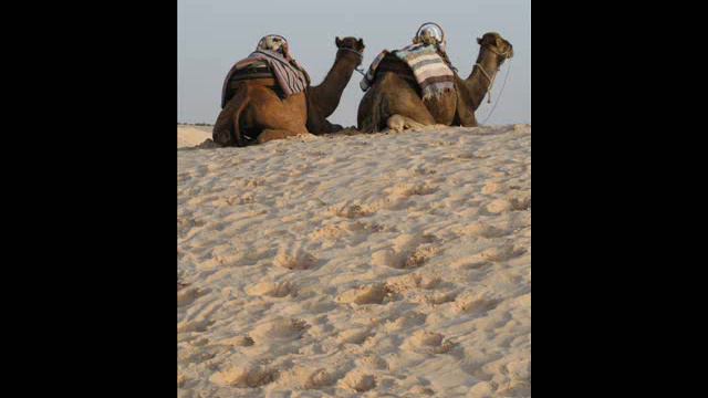 Composer's Wish - Only Sand смотреть онлайн