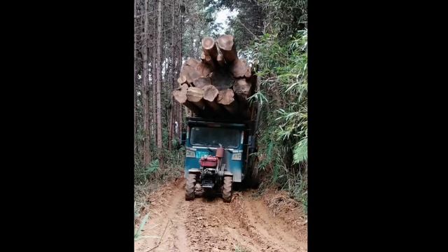Відео демонструє добірку різних моментів за участю тракторів і мотоблоків з усього світу смотреть онлайн