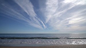 Тёща и зять: Лучшая подборка историй про тёщу и зятя / Удивительные истории из жизни