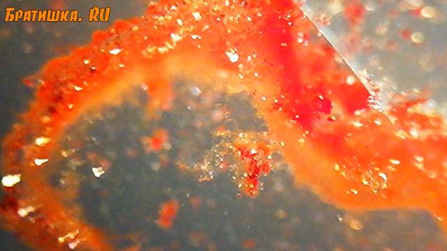 Необычная красота микромира. Видео под микроскопом.