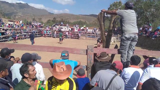 Corridas de toros en villa serrano San migel 2021 смотреть онлайн