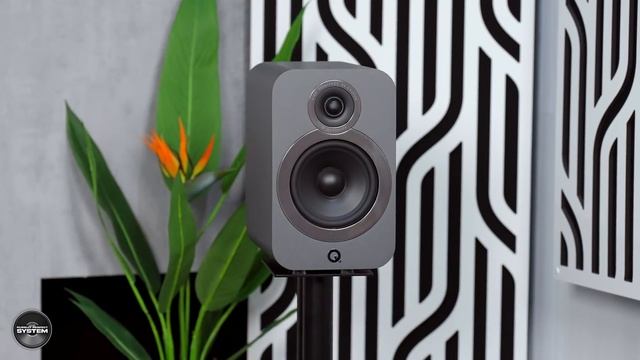 Acoustic Energy AE100 MK 2 Speakers "ENTRY LEVEL" HiFi Done RIGHT ! смотреть онлайн