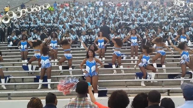 2014 JSU J-settes (Cold Case) MVSU смотреть онлайн