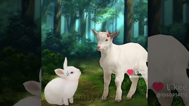 песня:happy Hare