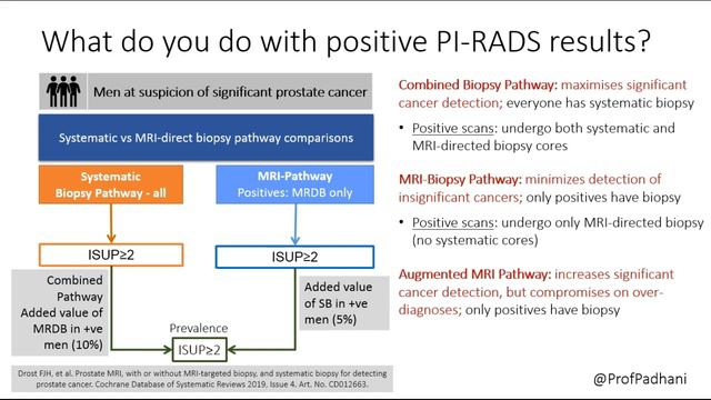 PI-RADS Prostate Cancer Diagnosis Pathway - Video Summary with annimations смотреть онлайн