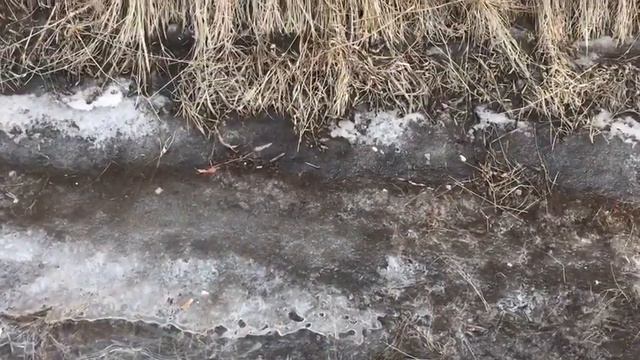 Стихия отступила смотреть онлайн