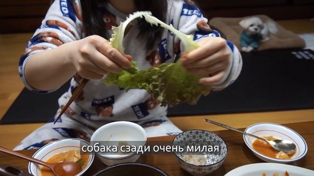 ПОДРУГА ЗАМАНИЛА В ГОСТИ ВКУСНЯШКАМИ | Званый гость жрёт в Южной Корее смотреть онлайн