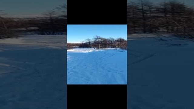 Прогулка от Иринки