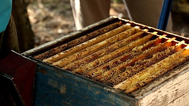 Пасечник №35 - Пасека Подрезана А.Г. Часть 2 смотреть онлайн