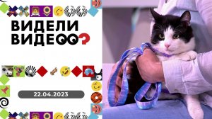 Видели видео? Выпуск от 22.04.2023