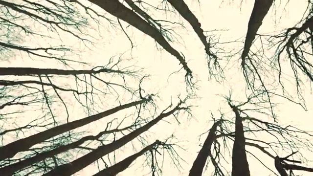 Наталья Манулик В лесу прифронтовом Вальс военных лет 1942 смотреть онлайн