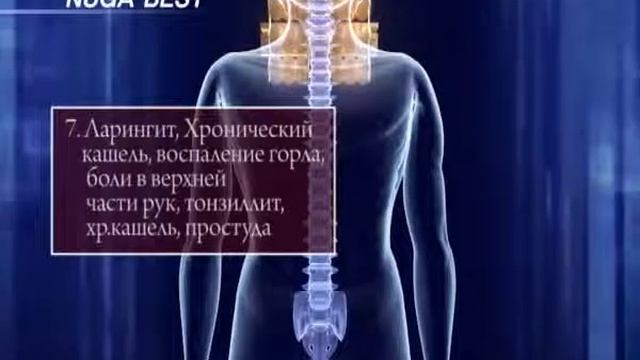 как работает NUGA BEST