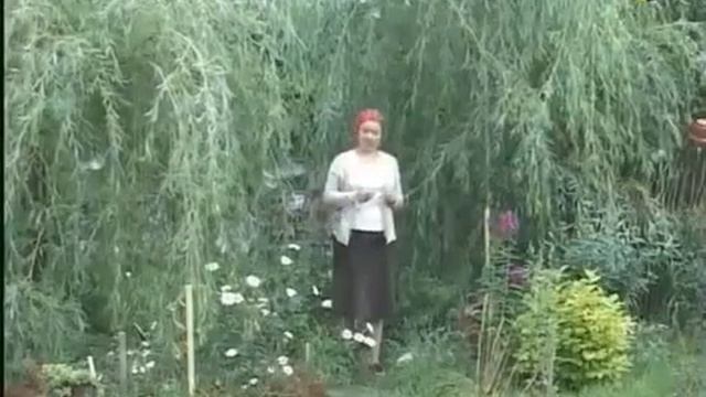 Осознание греха аборта во время клинической смерти смотреть онлайн