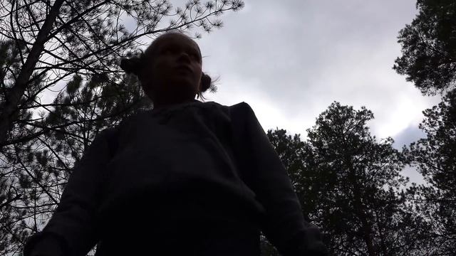 ОДНИ В ЛЕСУ!!!ВСТРЕТИЛИ ЗЛОГО ЛЕСНИКА!!! смотреть онлайн