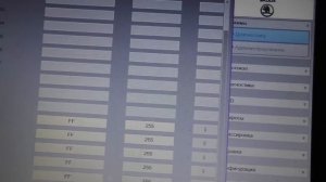 Отключение диагностики ламп Skoda, удаление ошибки. odis 6, vas5054. ASP