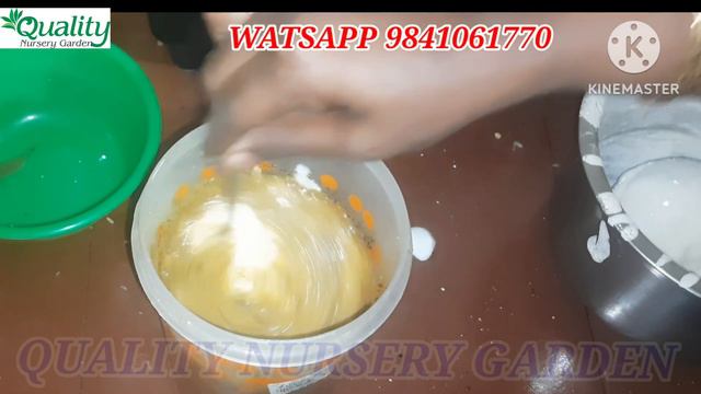 செம்பருத்தி செடியில் நிறைய மொட்டுக்கள் பார்க்க அழகா இருக்கணுமா அப்ப இந்த கரைசலை கண்டிப்பா குடுங்க смотреть онлайн