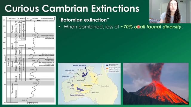 Mass Extinction Events from the Precambrian to Mid-Paleozoic that Nobody Talks About! GEO GIRL смотреть онлайн