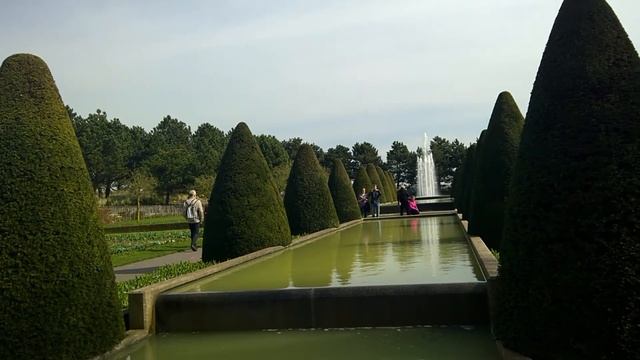 Парк тюльпанов Кёкенхоф - Европейский сад ? Жизнь в Европе смотреть онлайн