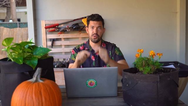 Gardener Reacts to "Simple Plant Growing Hacks" смотреть онлайн