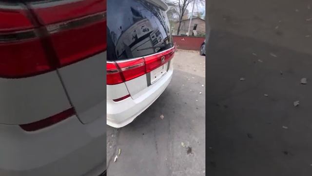 Видео обзор Honda Elysion