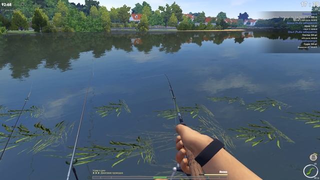 Фарм опыта на форели. Рыбалка за мостом - TheFisher Online #19