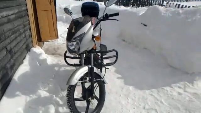 Обзор мопеда Альфа спорт 110куб. смотреть онлайн