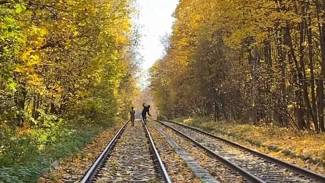 Парк Сокольники Моя Москва смотреть онлайн