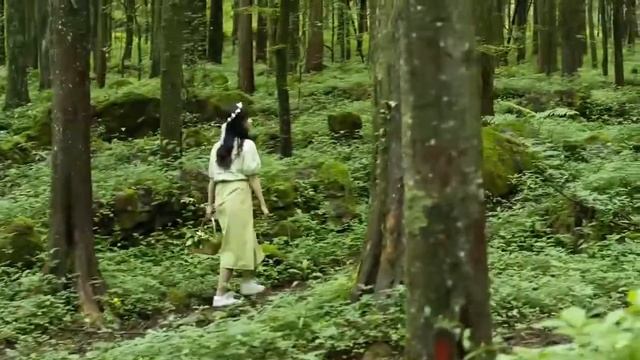 16000027.B CHANGAN Benben e-star 2022 reward version colorful ternary lithium NEDC 310KM смотреть онлайн