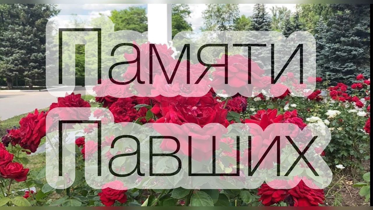 ГОРОДСКИЕ ЦВЕТЫ. Каменск-Шахтинский. Площадь. Труда Мемориал. Июнь 2023. Музыка Евгений Ширяев смотреть онлайн