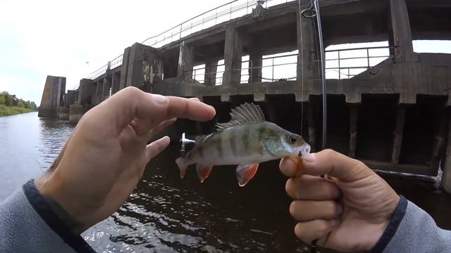 Мормышинг на спиннинг ОКУНЬ РЫБАЛКА ВЫХОДНОГО ДНЯ Mukai as 1632 смотреть онлайн