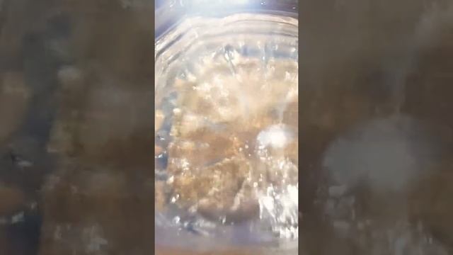 колонки s90 и усилитель zk-tb21 смотреть онлайн