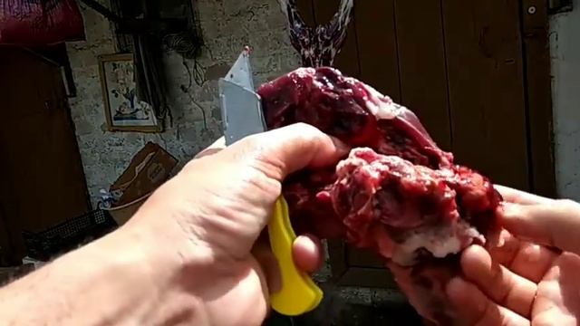 18+. Сурок Байбак. Разделка. смотреть онлайн