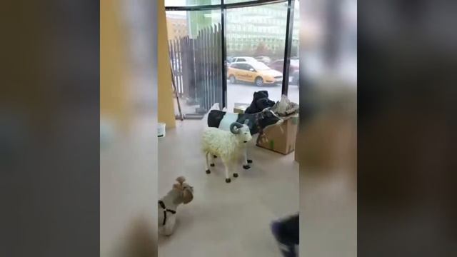 В День рождения сети магазинов натуральных продуктов "АМБАРЧИК", нам 4 года🎈🎈🎈🎉🎉🎉 смотреть онлайн