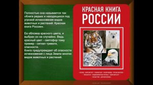 Природа в опасности. Урок окружающего мира в 3 классе