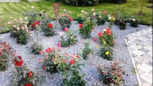 ❀ Розарий. Его виды, этапы и основные правила создания