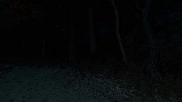 Passing Pineview Forest (лесной ПайнВью) - часть 2 - Теперь все ясно смотреть онлайн